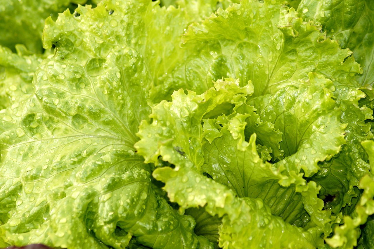Maigrir en prenant le temps pour manger…